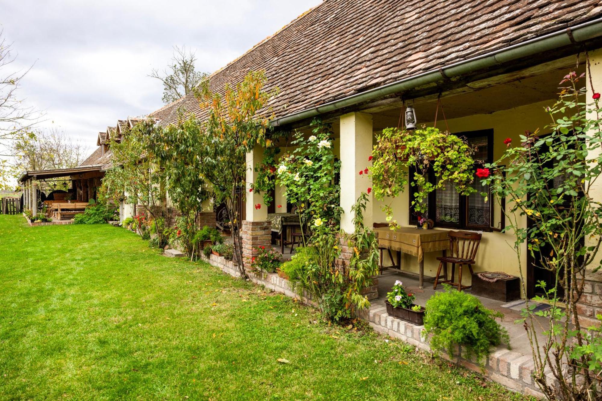 Bed and Breakfast Snasini Kucari Gradiste Exterior foto